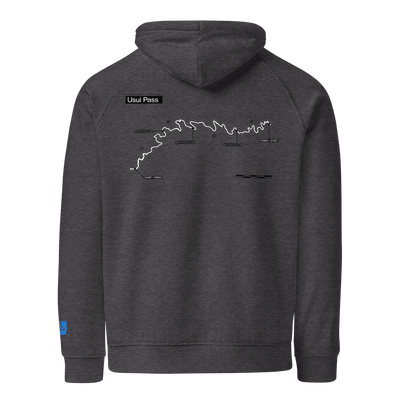 Team Usui Pass Hoodie — Sore Losers Club JDM anime apparel